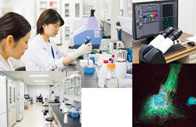 放射線生物学、分子生物学、免疫併用治療放射線増感・防護技術等の開発研究