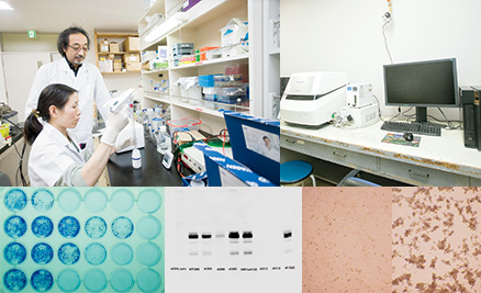 Research and development in molecular biology diagnostics and treatment technology using viruses, and more.