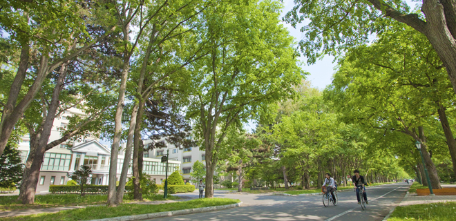 The front of the School of Medicine building and the main street on campus