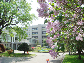 Lilac in front of the Administration Building