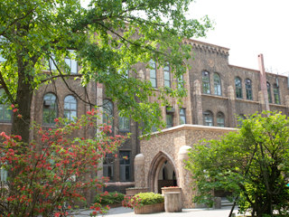 The Hokkaido University Museum