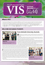 VIS Vol. 44 (July 2026)