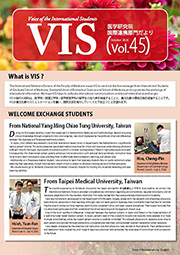 VIS Vol. 45 (October 2026)