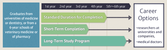 Long-Term Study Program