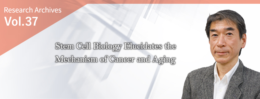 Elucidation of the Relationships between Cancer or Transplantation and Immunity, and Pursuit of the Possibility of Cell Therapy as a New Treatment Method