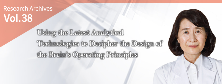 最新の解析技術を駆使し、脳の作動原理のデザインを読み解く