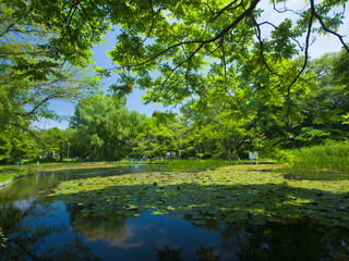 大野池>