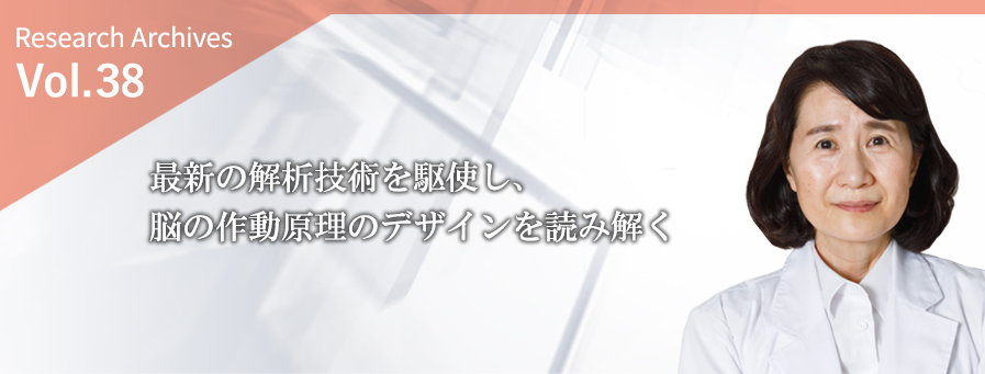 最新の解析技術を駆使し、脳の作動原理のデザインを読み解く
